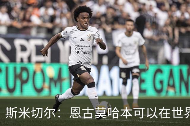 斯米切尔：恩古莫哈本可以在世界杯改变局势，但他能参加下一届